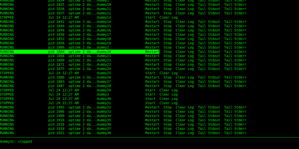 supervisor-shell-ui – a console alternative to the built-in web interface