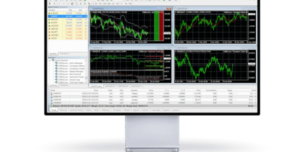 mt5-httpapi: MetaTrader 5 Running in Docker With a REST API Because MQL5 Can Go Fuck Itself